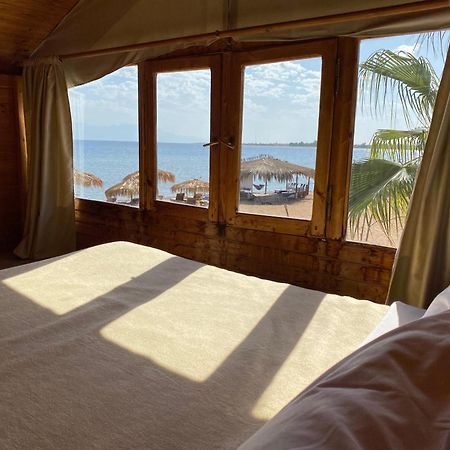 Nuweiba Lodge Экстерьер фото
